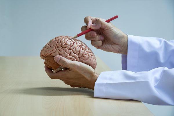 Neurosurgeon in Nagpur