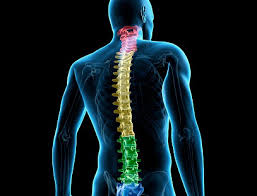 Neurosurgery of the spine