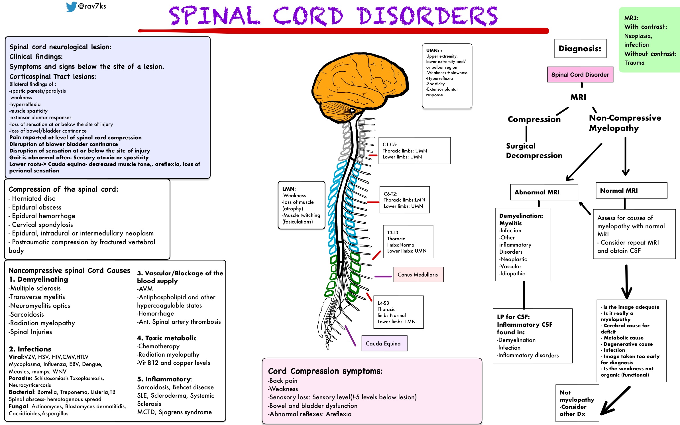 Spinal disorders